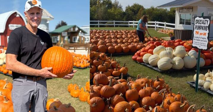 Basse’s Farms bounces back from historic floods in time for pumpkin picking season