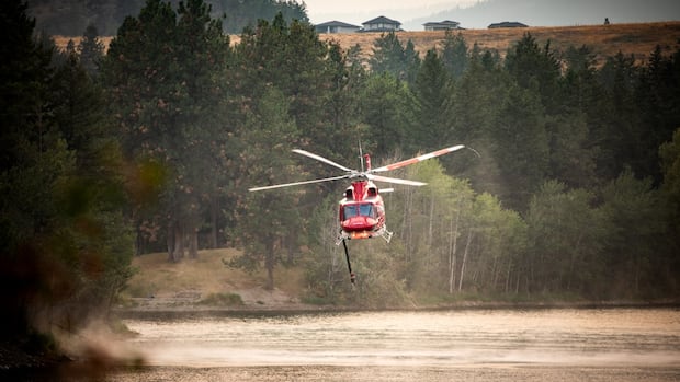Wildfire helicopter crew avoids critical injuries in forced landing near Pemberton, B.C.