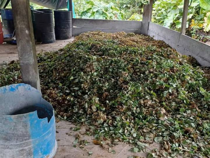 Ejército Nacional desmanteló cinco laboratorios de cocaína en el Putumayo