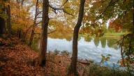 Fall is here, and that means cold temps are coming to Kentucky. Find out when