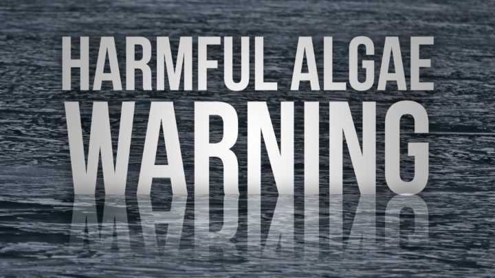 Harmful algal bloom confirmed on Carpenters Lake near Owensboro
