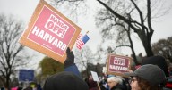 Juez federal dictamina que la administración Trump canceló ilegalmente la financiación de Harvard