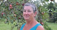 Century-old orchard open for another apple picking season