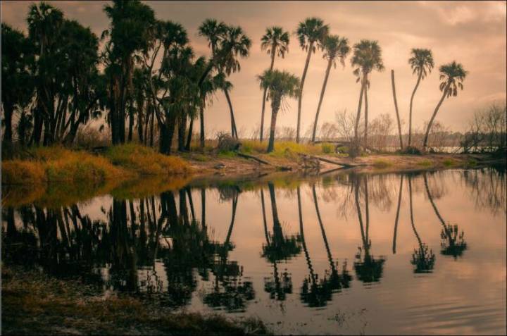 Florida State Parks wants you to help judge photo contest