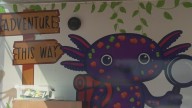 Marty's Mobile Mudroom offers hands-on learning in Mt. Vernon