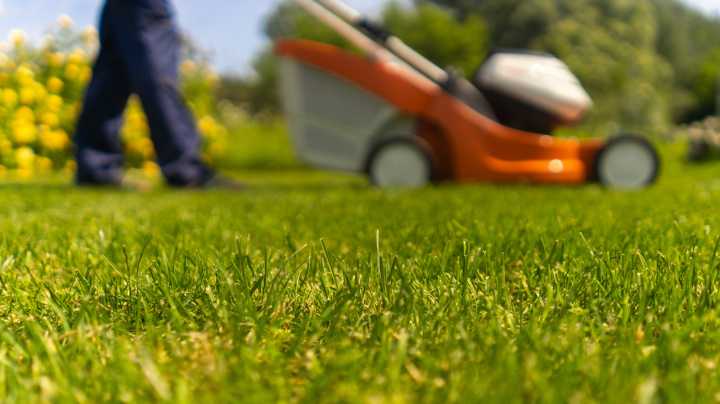 The Worst Time Of Day To Mow Your Lawn (And Why It Matters)