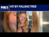 Girl hit by falling tree at arts festival