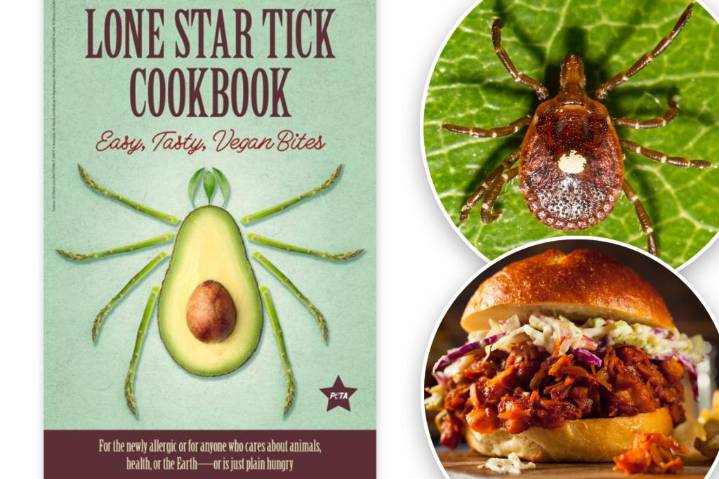PETA has a special vegan cookbook for alpha