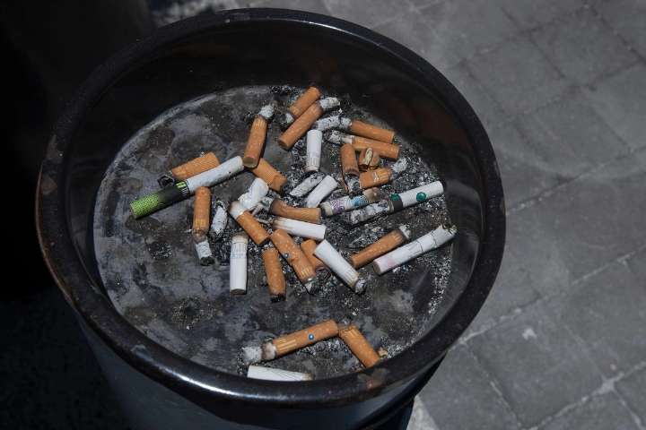 «Impuestos saludables, más que sólo recaudación»