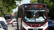 Al final habrá transporte gratuito por las elecciones en Mar del Plata