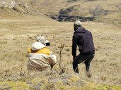 ¿Cómo reconocer a un brigadista del Censo Nacional de Vicuñas 2025?