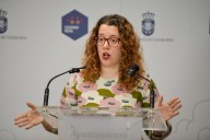 El PSOE de Ciudad Real pide al alcalde un plan urgente de asfaltado y acerado