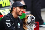 Roscoe, Lewis Hamilton's beloved bulldog and F1 social media star, dies at 12