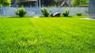 Mowing Vs Edging: Which Yard Maintenance Task Should Come First?