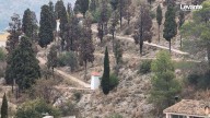 Cipreses muertos en el Calvari Alt de Xàtiva