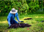 Friends of the Wissahickon: Be a friend, plant a tree