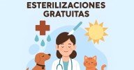 Esterilización gratuita en Hermosillo: solo 80 cupos para perros y gatos este 30 de septiembre