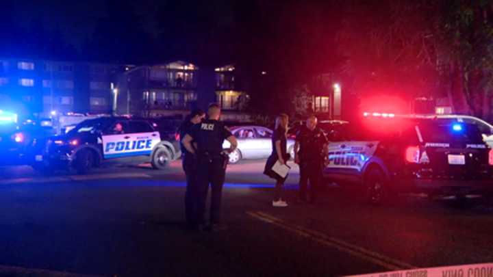 Deputies investigate Burien stabbing