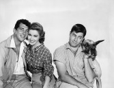 Star of “Dynasty” and “Please Don’t Eat the Daisies” dies