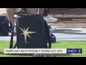 Possible Tampa Bay Rays stadium sites emerging in Hillsborough County