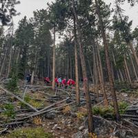 Injured climber rescued near Lions Camp in Red Lodge