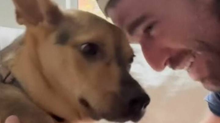 California Man Meets A Fragile Desert Puppy And Faces A Choice He Never Saw Coming