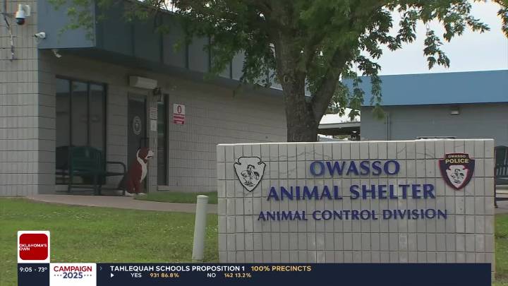 Owasso Animal Shelter investigation clears facility of wrongdoing, offers improvement recommendations