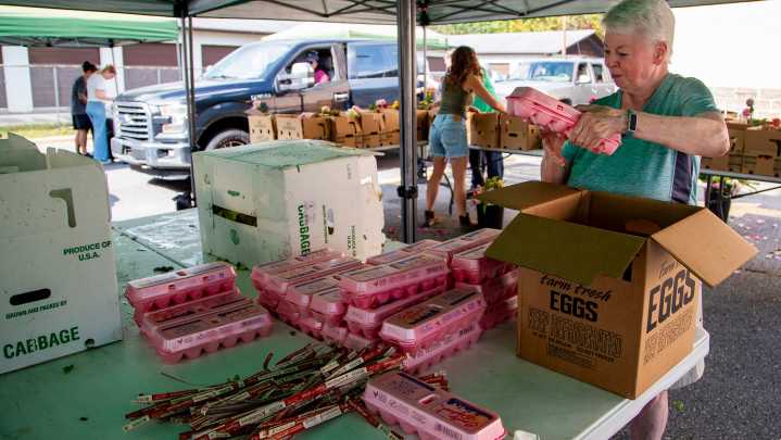 Bounty & Soul food distribution held in Black Mountain