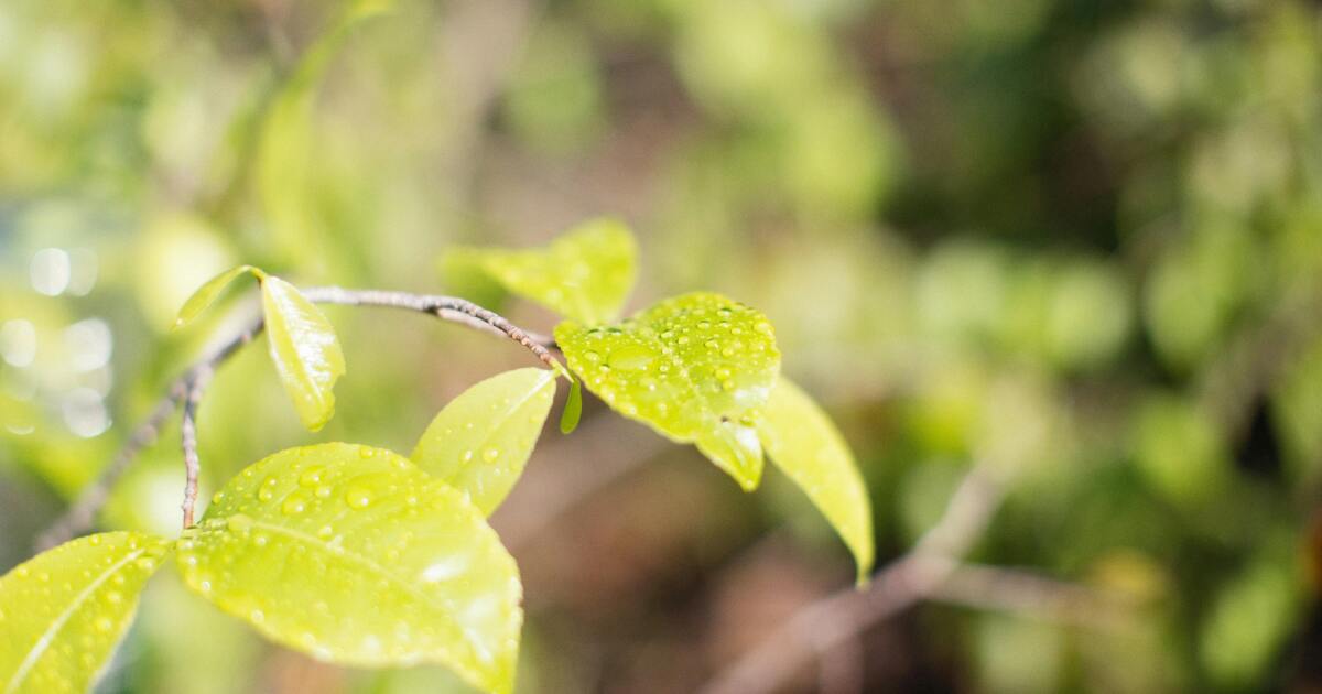 Weekend warm-up with spotty showers in the forecast
