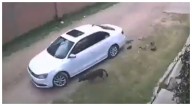 Sujeto es captado en video bajando de su carro y abandonando a una perrita y a sus cachorros en Aguascalientes