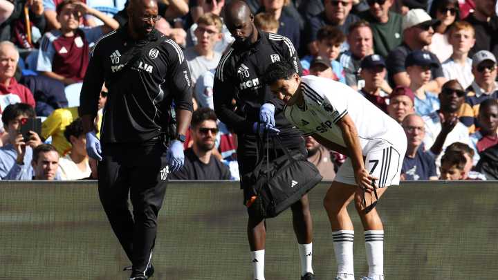 Raul Jimenez appears to be injured by Fulham teammate in bizarre moment during goal celebration