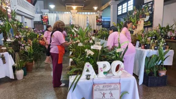 Un mundo de orquídeas en la tradicional exposición en la Sociedad Italiana 