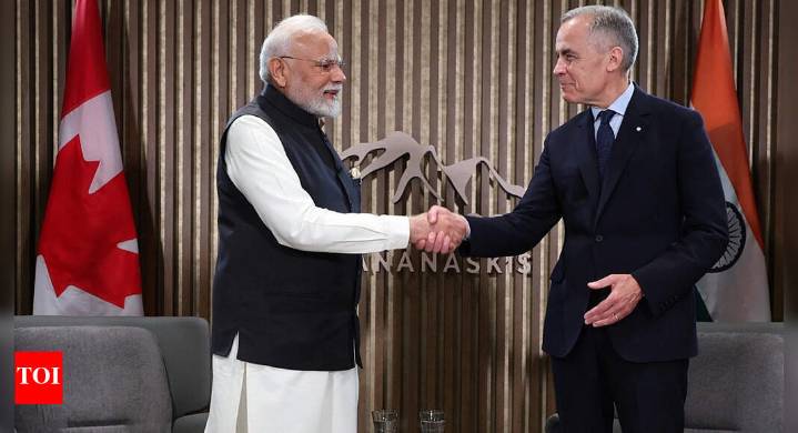 Canada’s PM Mark Carney spots ‘opportunity’ as Trump slaps $100K H