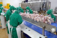 Perú acelera gestiones para abrir nuevos mercados a la carne de ave