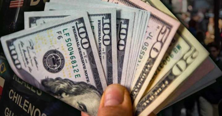 Presión sobre el dólar: fuerte caída del ingreso de divisas del campo