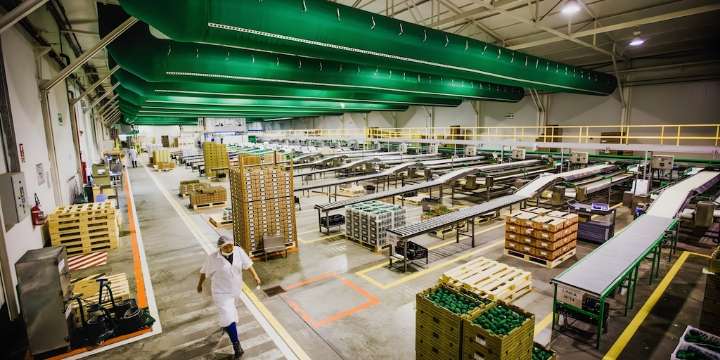 Promulgan Ley Chlimper 2.0: agroexportadoras pagarán 15% de IR y Estado dejará de percibir más de S/ 20 millones