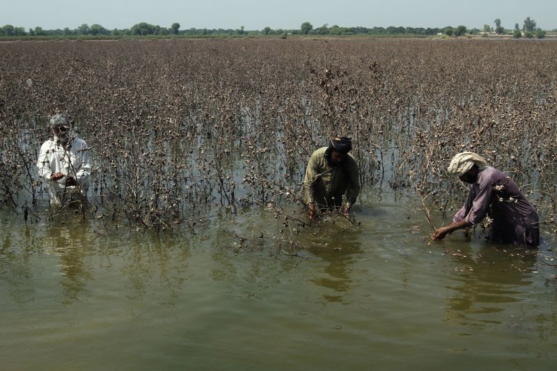 Pakistan floods batter fields, factories and fiscal plans