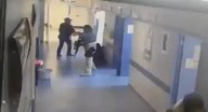 Celaya y León concentran las activaciones por situaciones de riesgo y violencia en hospitales