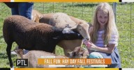 Kidsburgh releases their Fall Fun guide