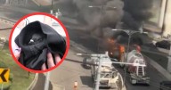 Muere ‘Esperancita’, la paloma rescatada tras explosión en Iztapalapa