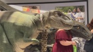 Annual Geek Gala raises funds for Corpus Christi museum programs