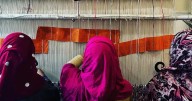 Kashmir’s Carpet Legacy Strengthened as IICT Starts Silk Weaving Training in Pulwama
