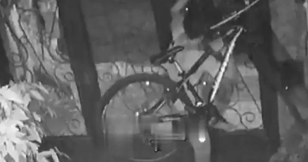 Salteño armado hasta los dientes intentó robar una bici y terminó preso
