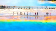 Crowds, Cuts, And Flames: Can Yellowstone National Park Survive Its Toughest Year Yet?