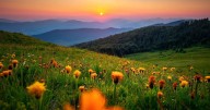 The Price of a Perfect Picture: How AI and Edited Travel Photos Are Warping Reality