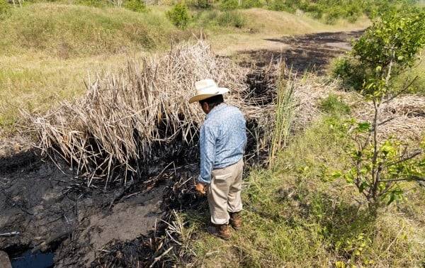 El ‘huachicol’ y las nuevas palabras del diccionario de México