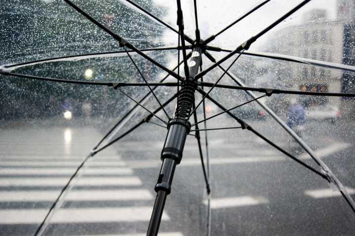 Lluvias en Caracas causaron anegaciones y caída de árboles