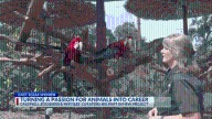 Passion for animals turned into a career of a lifetime for East Texas women 