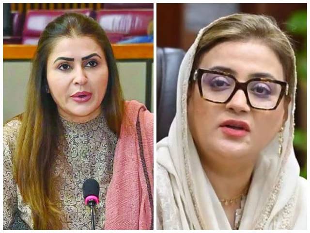 PPP blasts Maryam's 'divisive' politics