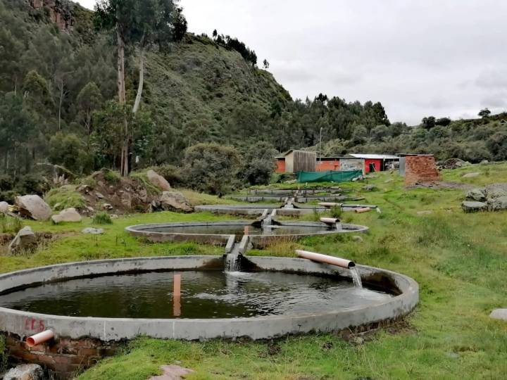 Gobierno otorga más de S/ 243,000 en créditos a acuicultores de Madre de Dios